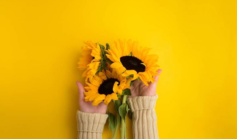 Sunflower Gifts: 37 Pleasant & Soothing Sunflower Gift Ideas